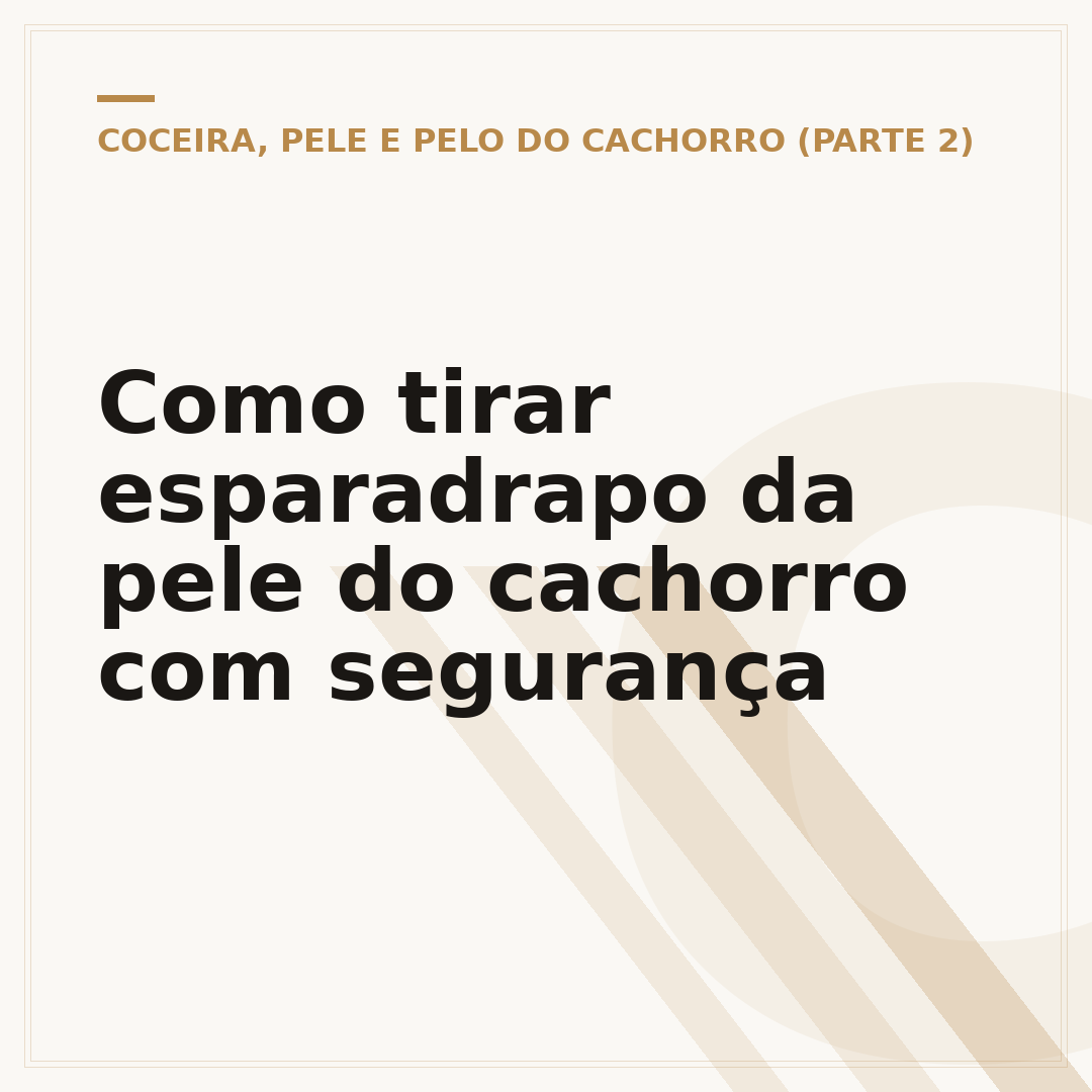 Como tirar esparadrapo da pele do cachorro com segurança