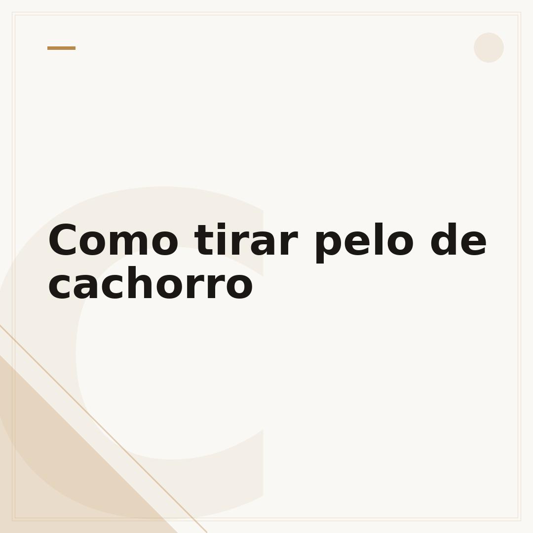 Como tirar pelo de cachorro