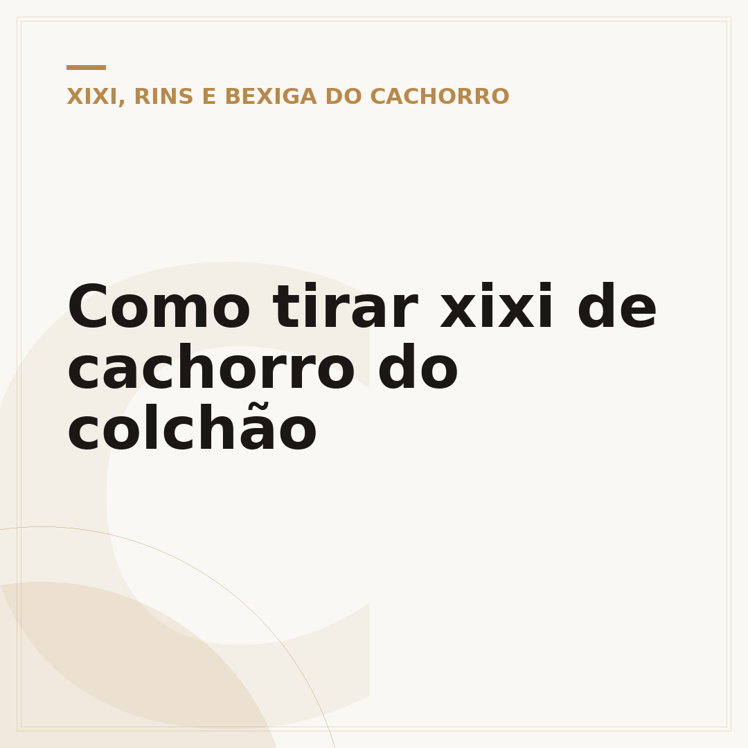 Como tirar xixi de cachorro do colchão