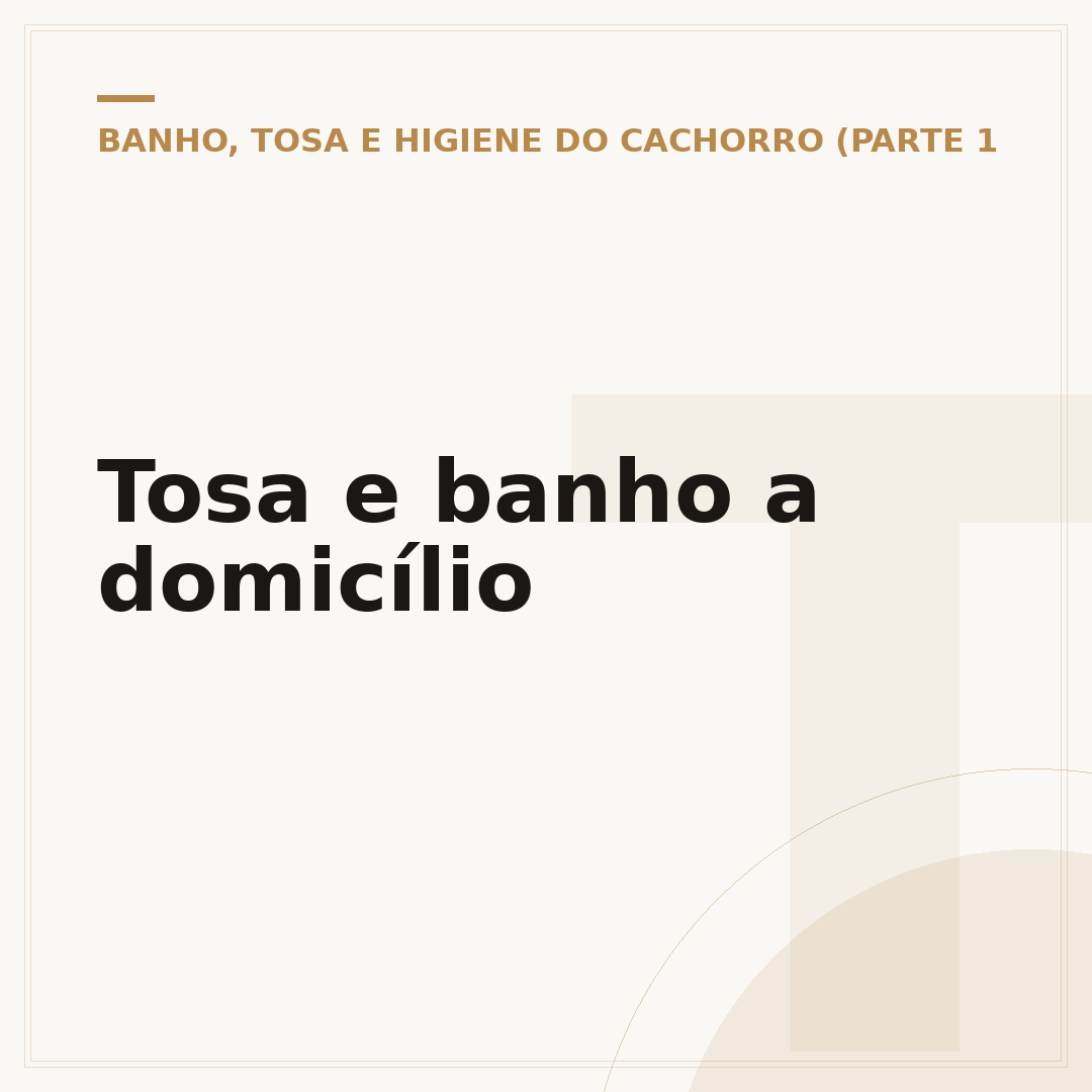 Tosa e banho a domicílio