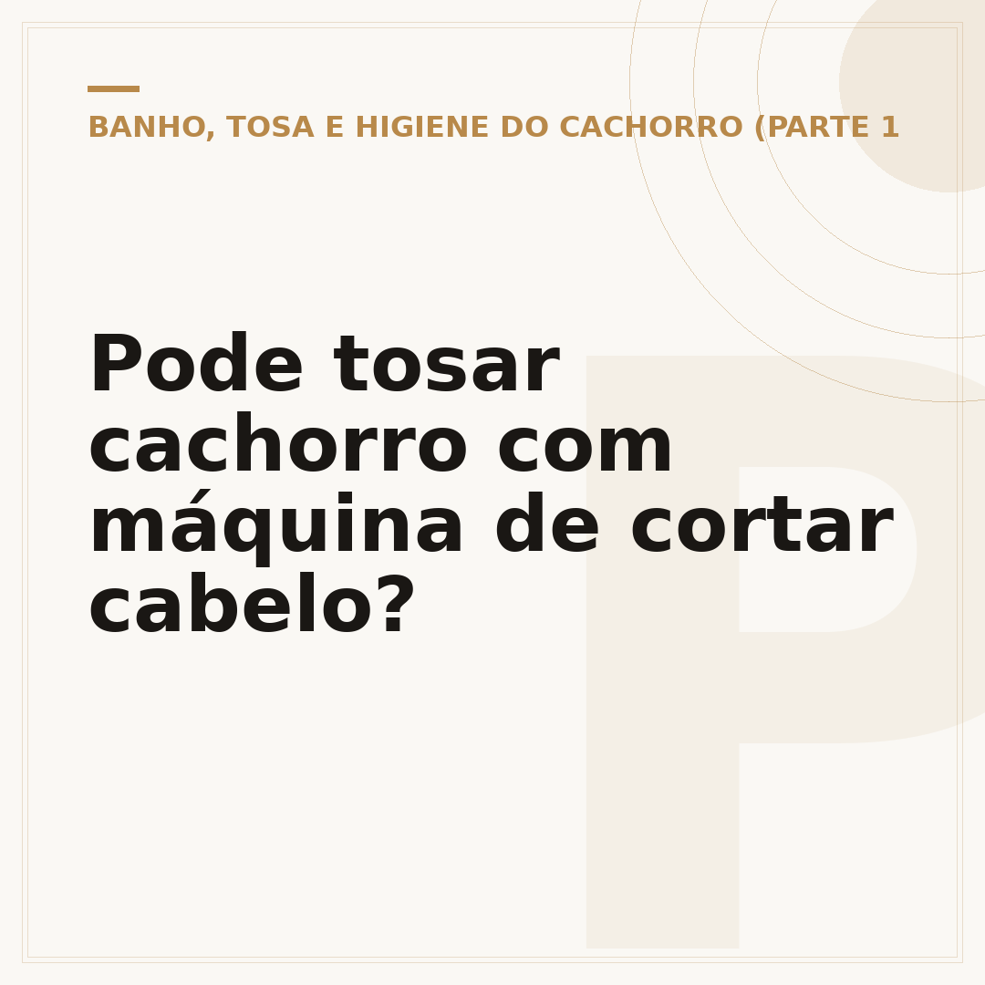 Pode tosar cachorro com máquina de cortar cabelo?