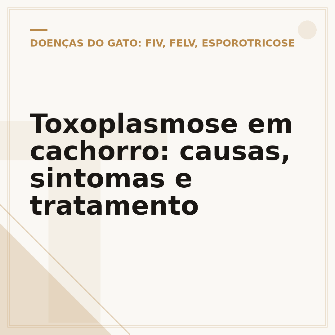 Toxoplasmose em cachorro: causas, sintomas e tratamento