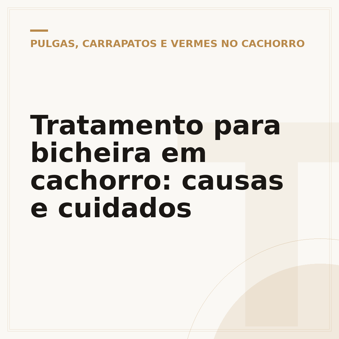 Tratamento para bicheira em cachorro: causas e cuidados
