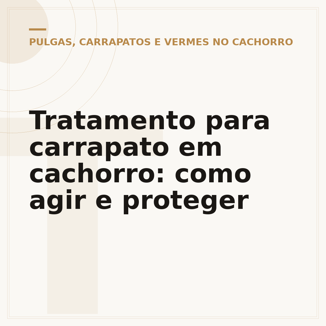 Tratamento para carrapato em cachorro: como agir e proteger