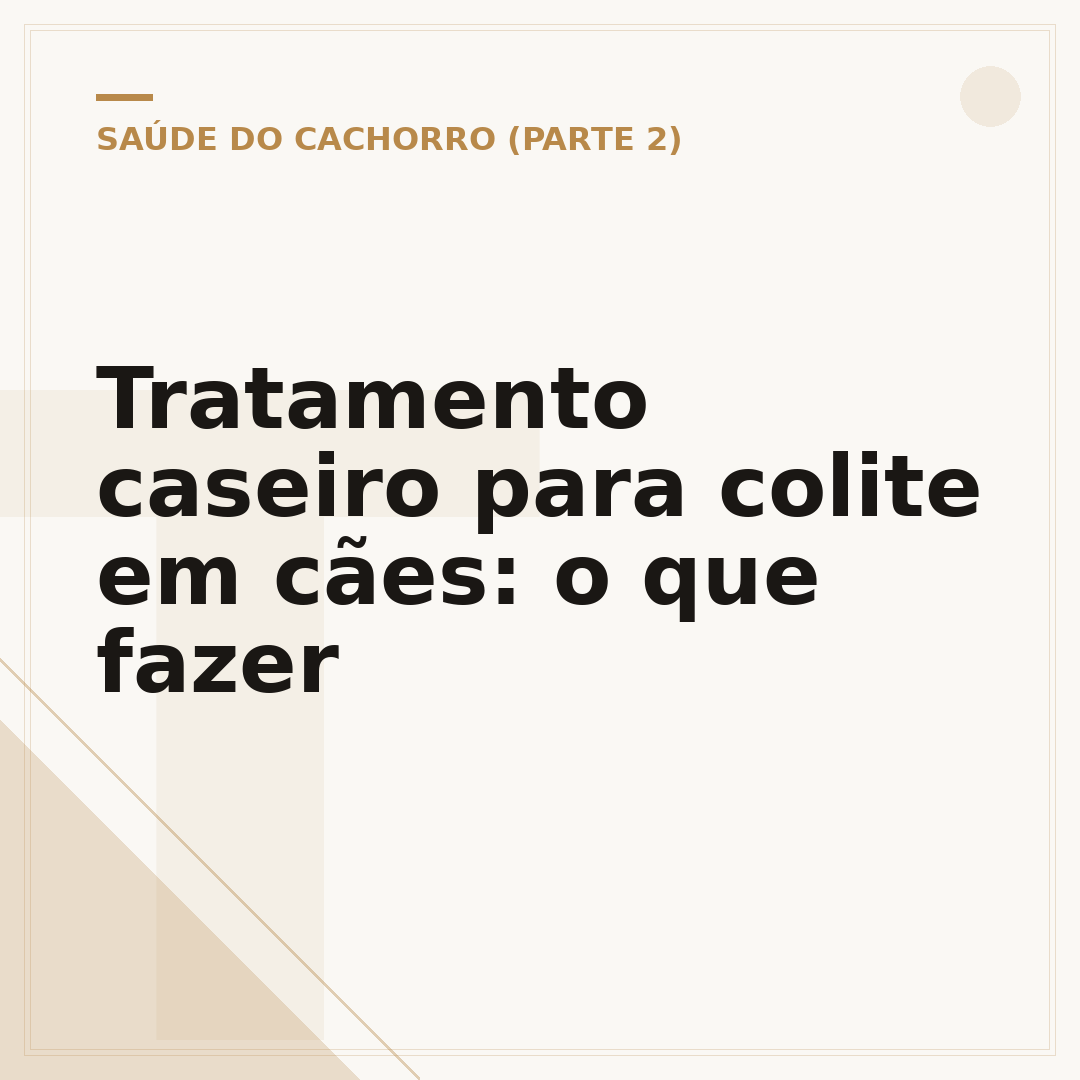 Tratamento caseiro para colite em cães: o que fazer
