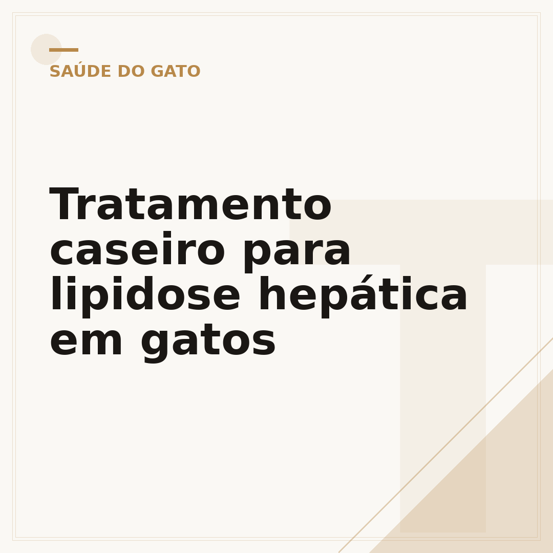 Tratamento caseiro para lipidose hepática em gatos