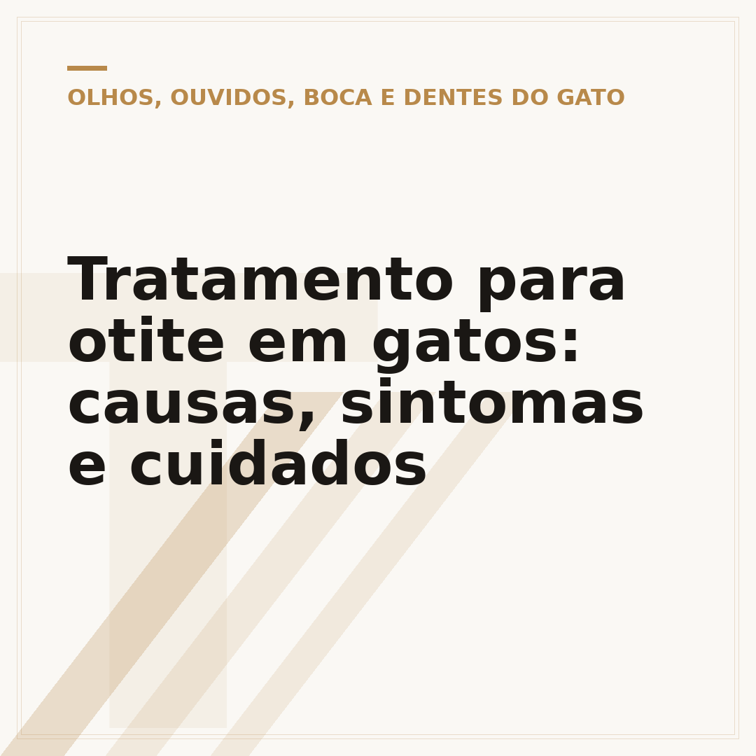 Tratamento para otite em gatos: causas, sintomas e cuidados