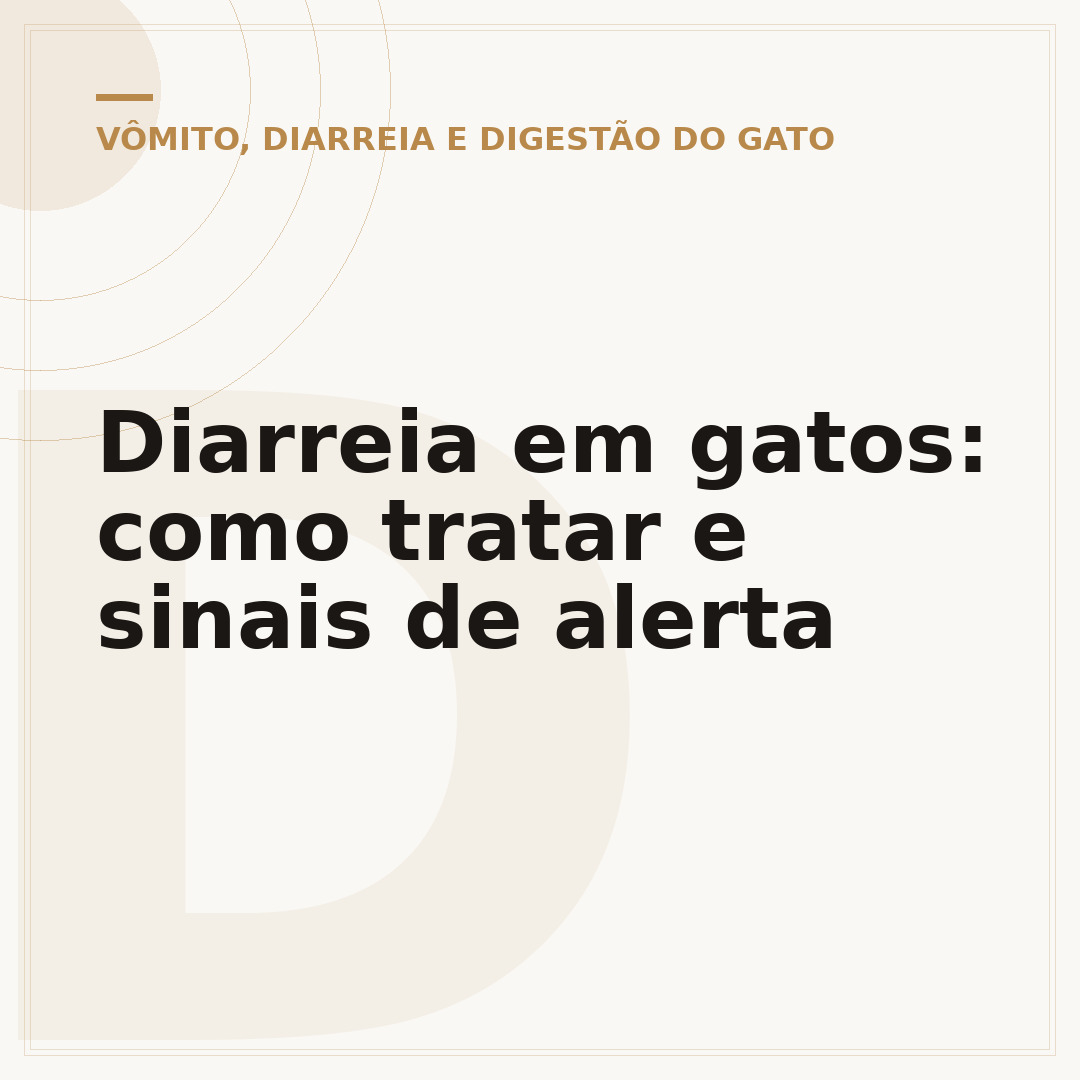 Diarreia em gatos: como tratar e sinais de alerta