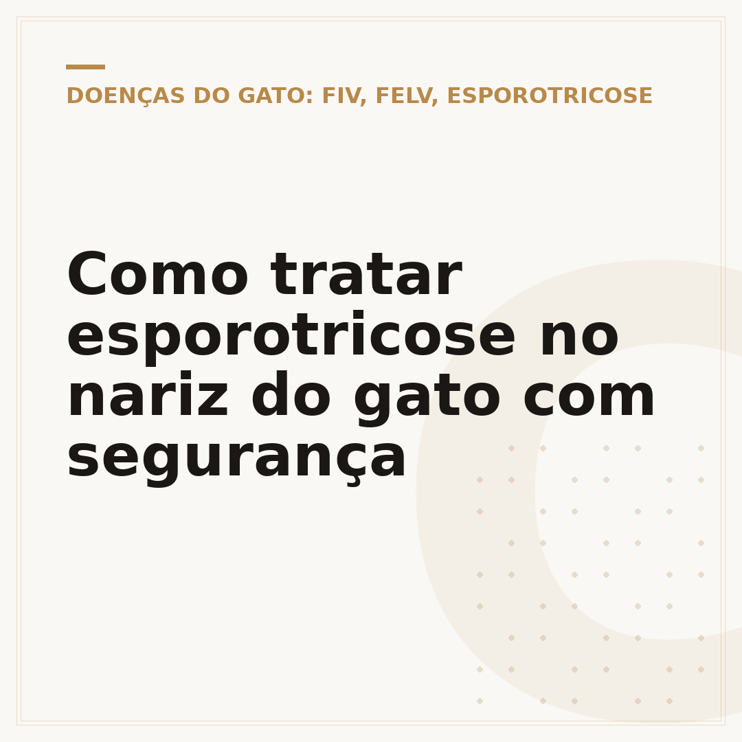 Como tratar esporotricose no nariz do gato com segurança