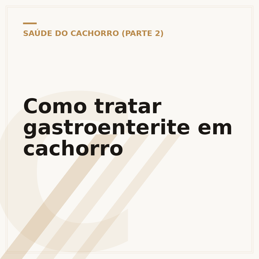 Como tratar gastroenterite em cachorro
