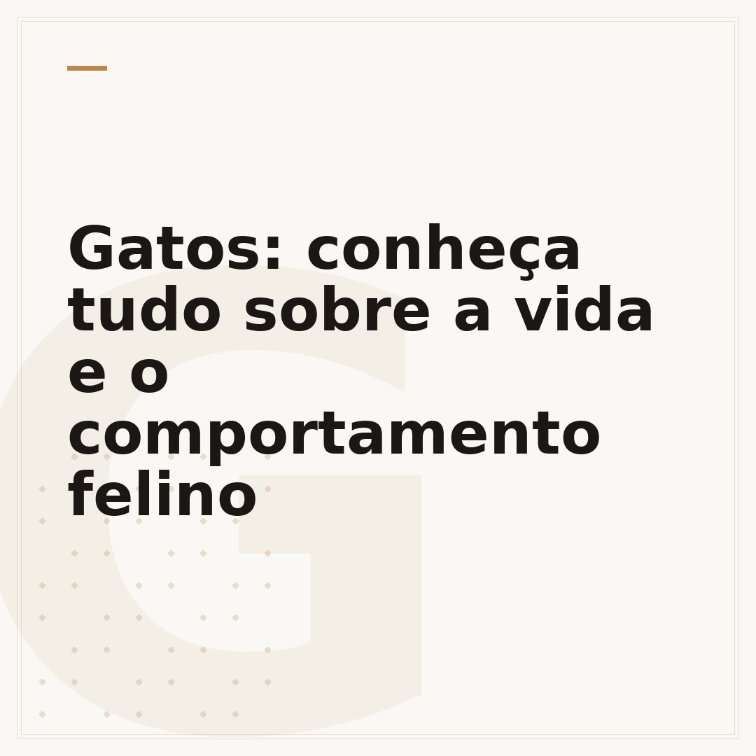 Gatos: conheça tudo sobre a vida e o comportamento felino