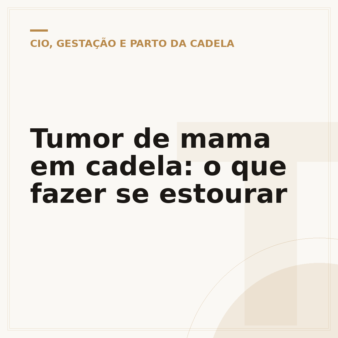 Tumor de mama em cadela: o que fazer se estourar