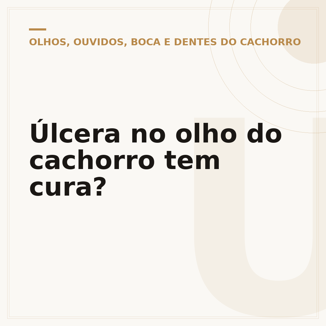 Úlcera no olho do cachorro tem cura?