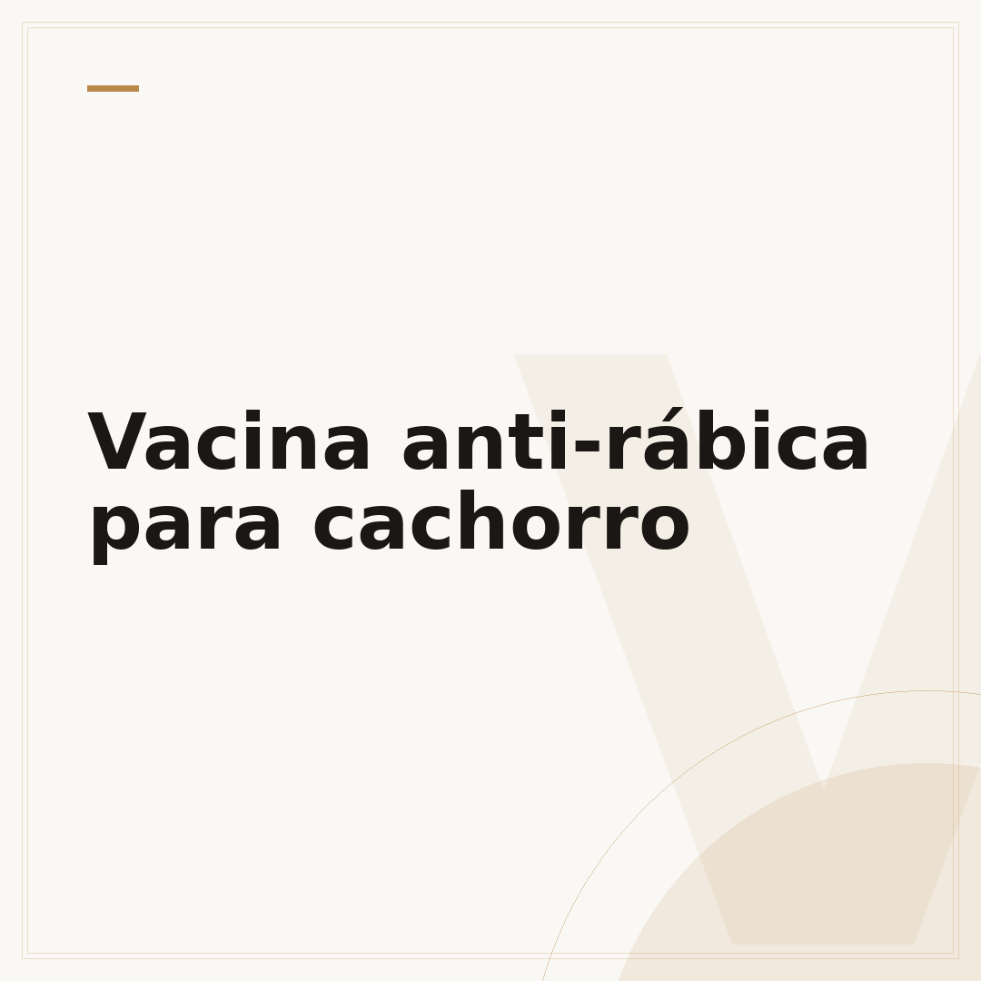 Vacina anti-rábica para cachorro