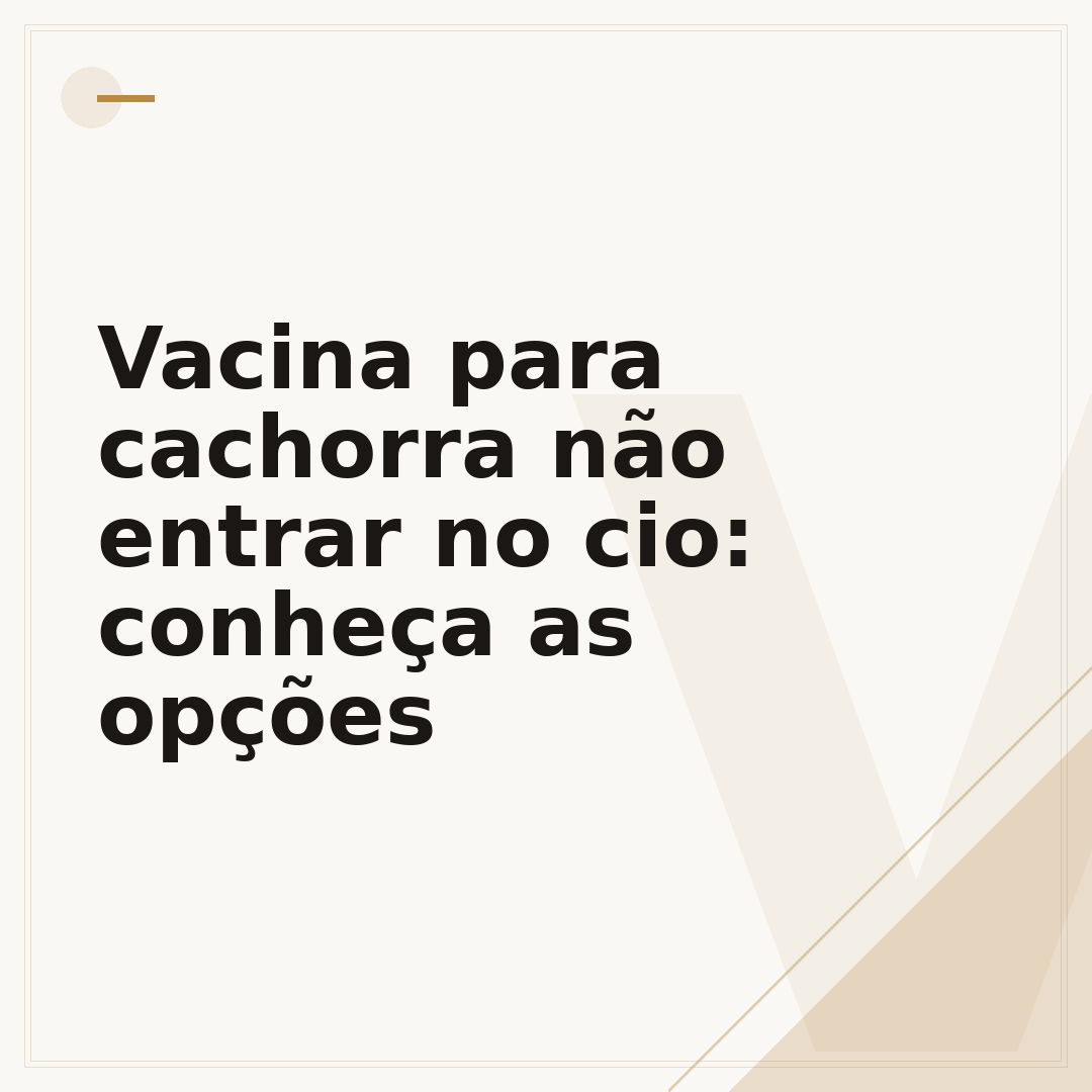 Vacina para cachorra não entrar no cio: conheça as opções