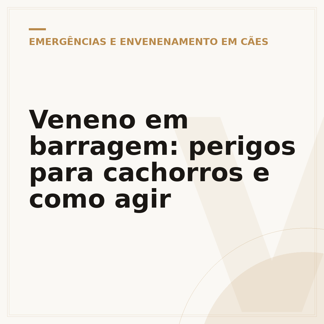 Veneno em barragem: perigos para cachorros e como agir