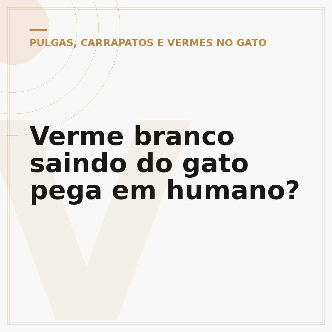Verme branco saindo do gato pega em humano?