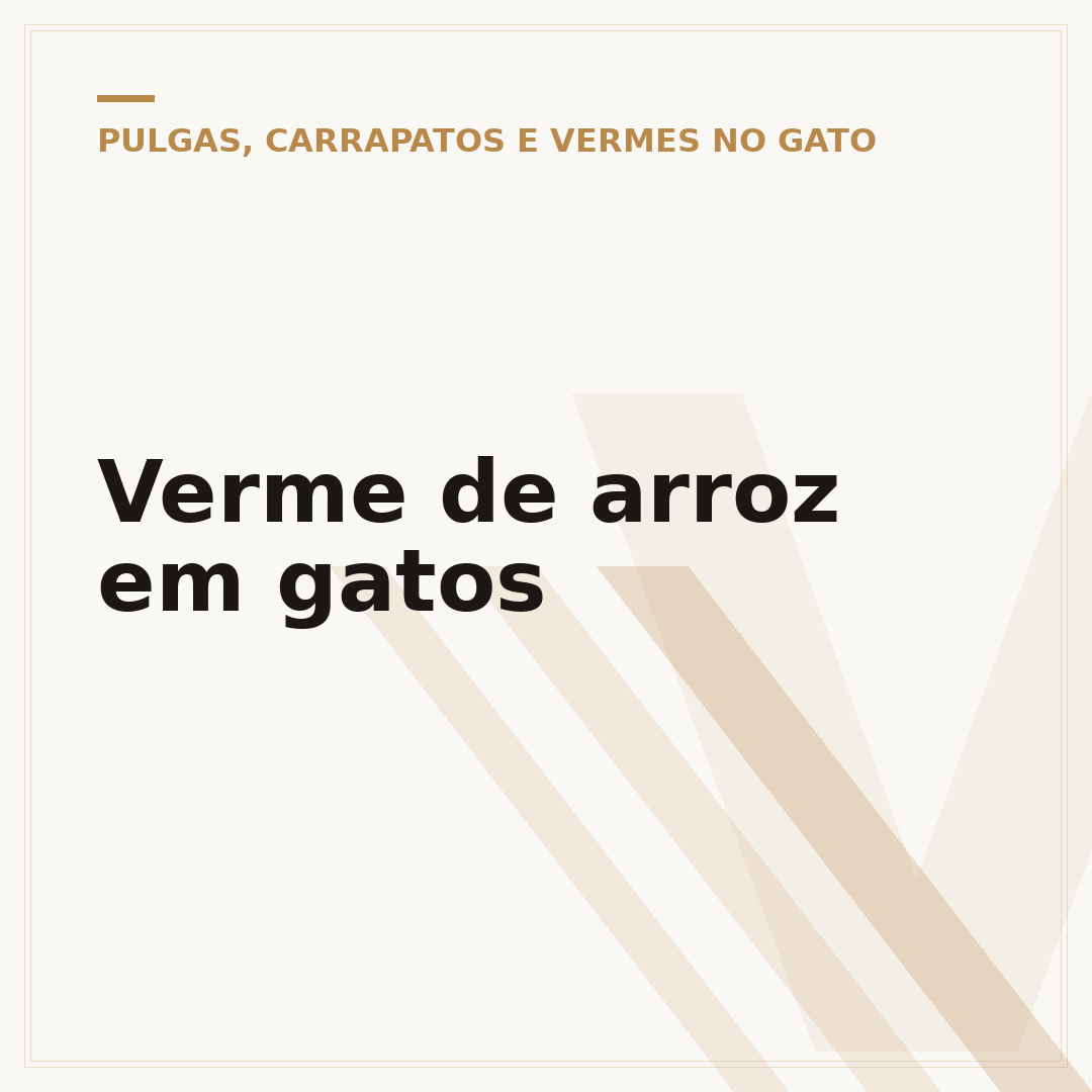 Verme de arroz em gatos