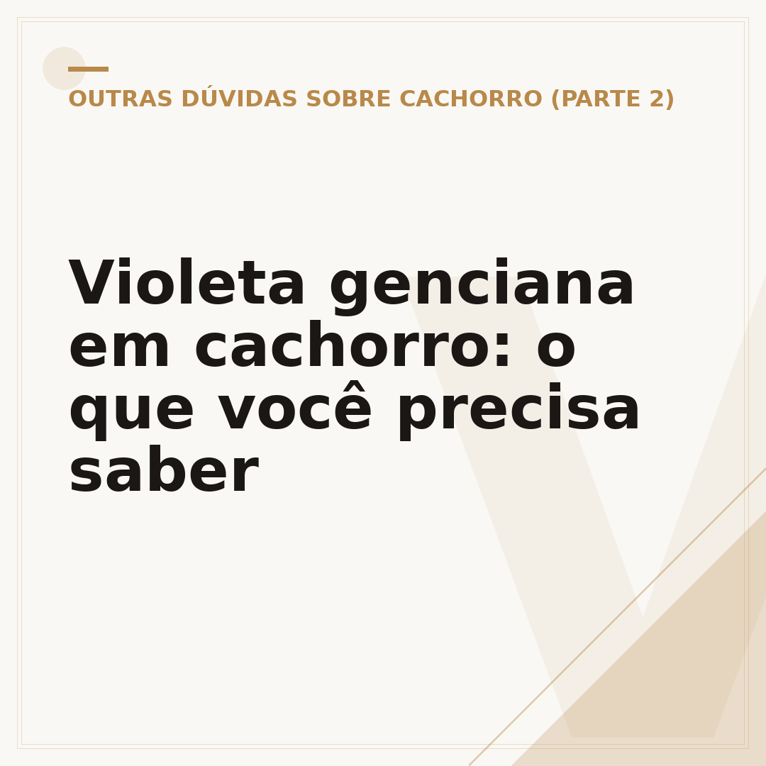 Violeta genciana em cachorro: o que você precisa saber