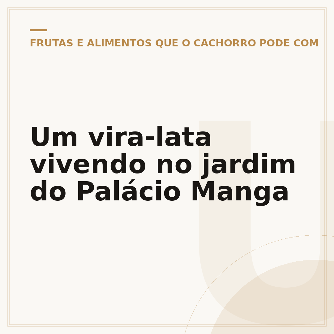 Um vira-lata vivendo no jardim do Palácio Manga