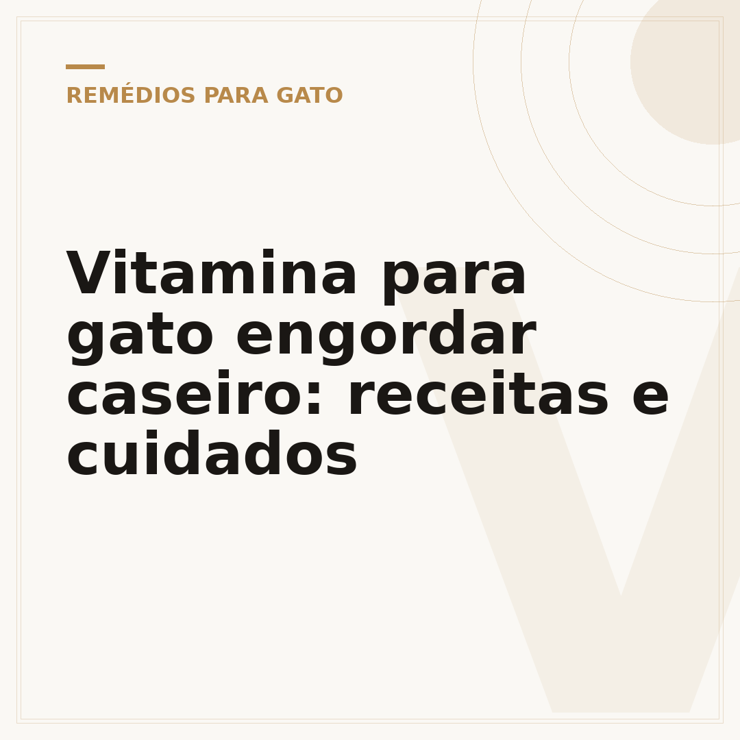 Vitamina para gato engordar caseiro: receitas e cuidados