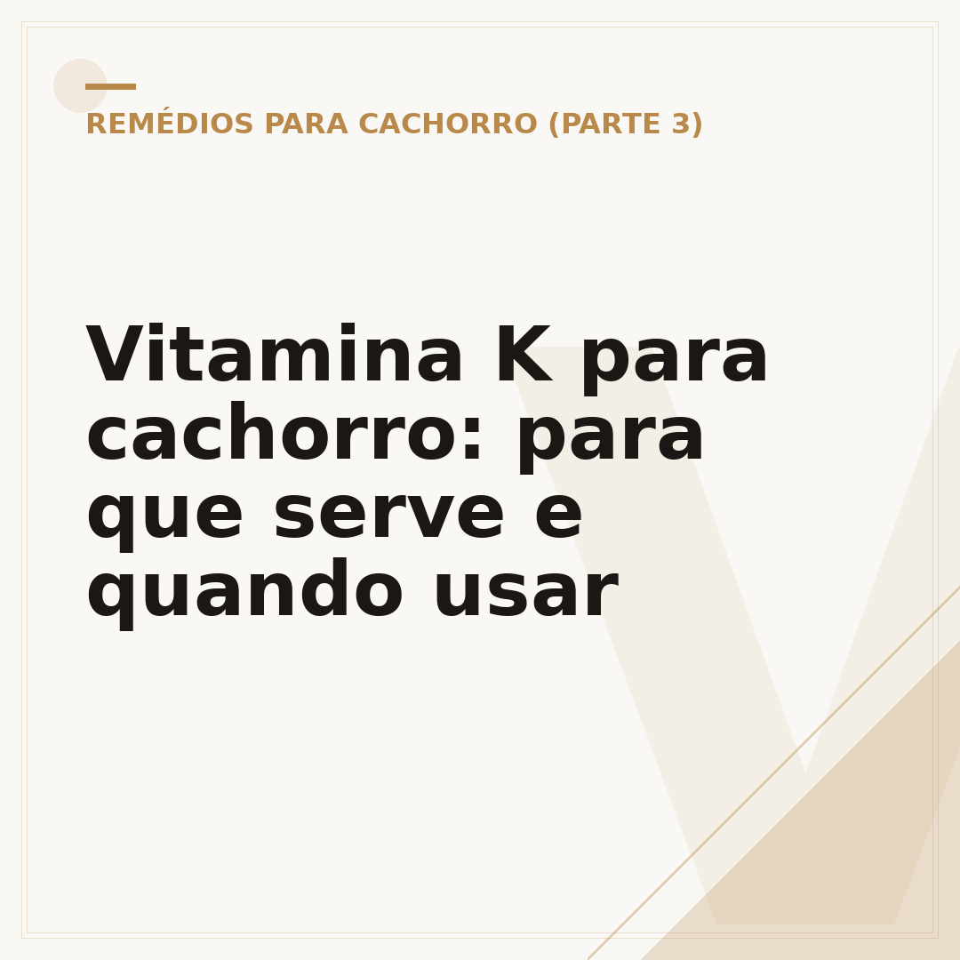 Vitamina K para cachorro: para que serve e quando usar